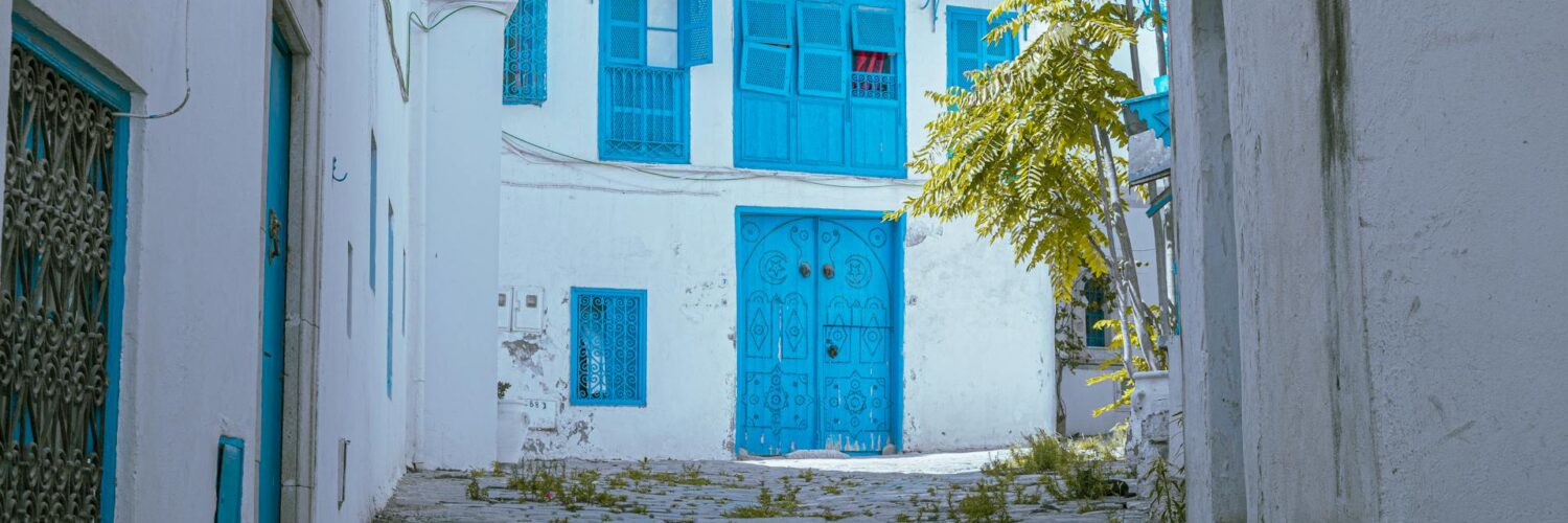 A serene landscape view from Sidi Bou Said, Tunisia.